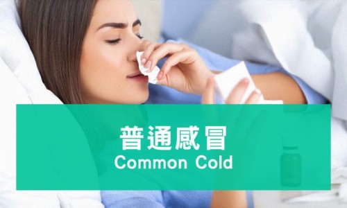 下面用药期间能同房吗-阴道用药可以性交吗网 - 为你提供阴到用药了可以同房吗、下面用药期间能同房吗
